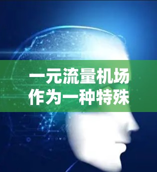 一元流量机场作为一种特殊的设计，其可行性取决于多个因素。以下是对一元流量机场的分析