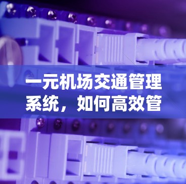 一元机场交通管理系统，如何高效管理单流机场的人流