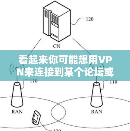 看起来你可能想用VPN来连接到某个论坛或网站。以下是使用VPN连接论坛的步骤