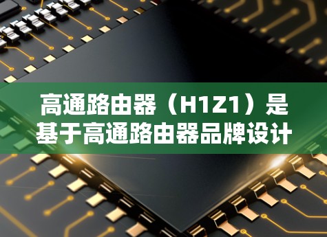 高通路由器（H1Z1）是基于高通路由器品牌设计的，该品牌已经支持虚拟网络（VPN）技术。因此，高通路由器本身可以支持VPN功能。以下是使用高通路由器进行VPN的步骤
