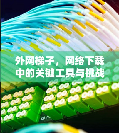 外网梯子，网络下载中的关键工具与挑战