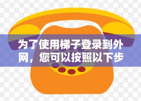 为了使用梯子登录到外网，您可以按照以下步骤操作