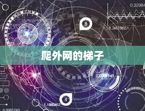 爬外网的梯子