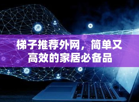梯子推荐外网，简单又高效的家居必备品