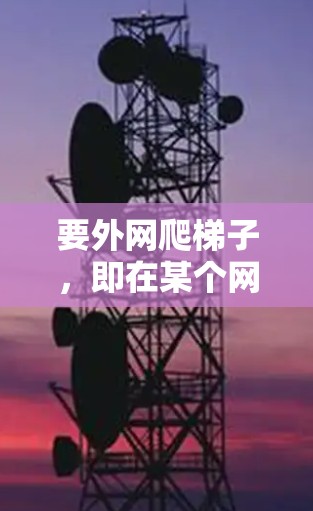 要外网爬梯子，即在某个网络层（如HTTP层）上从一个起点到目标位置的路径，可以按照以下步骤进行