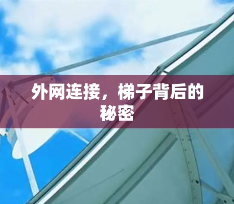外网连接，梯子背后的秘密
