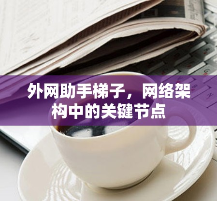 外网助手梯子，网络架构中的关键节点