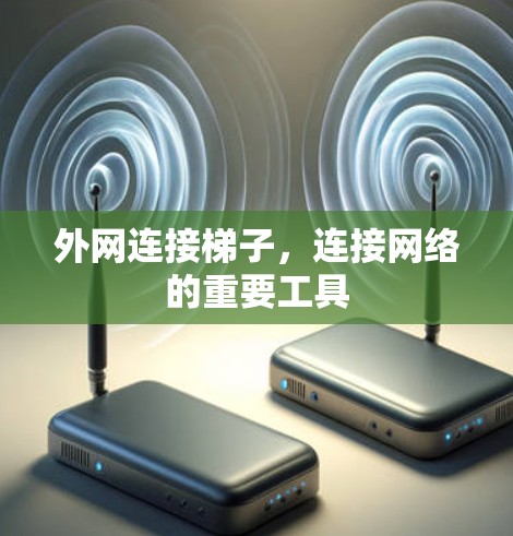 外网连接梯子，连接网络的重要工具