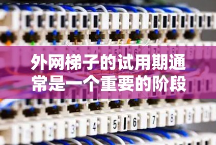 外网梯子的试用期通常是一个重要的阶段，旨在帮助新人进入职场，了解公司的文化和公司文化，并为他们提供机会来学习新技能和适应工作环境。以下是对外网梯子试用期的一些关键点和考虑因素