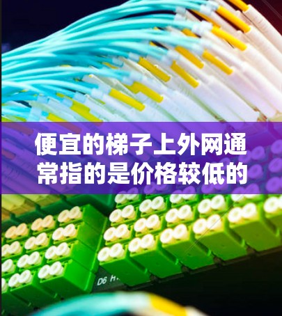 便宜的梯子上外网通常指的是价格较低的梯子，可能需要考虑其功能和适用性。以下是一些常见的便宜梯子及其特点