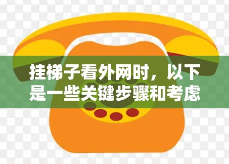 挂梯子看外网时，以下是一些关键步骤和考虑因素，确保操作安全和顺利