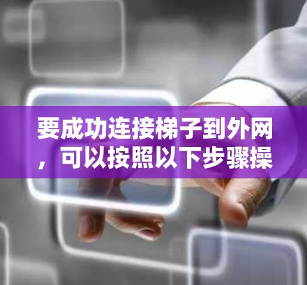 要成功连接梯子到外网，可以按照以下步骤操作