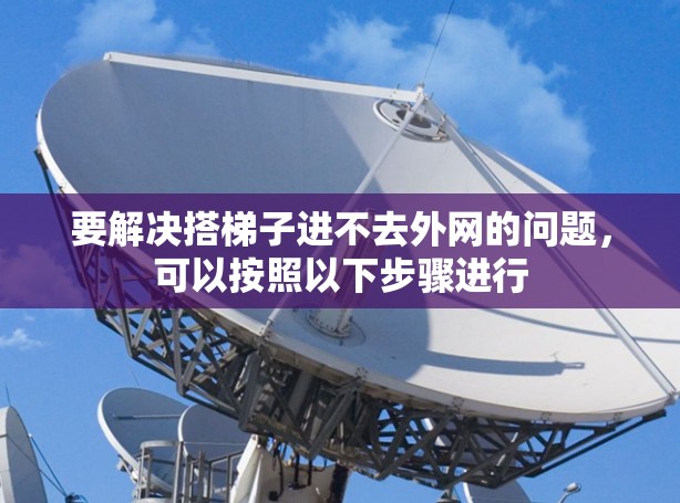 要解决搭梯子进不去外网的问题，可以按照以下步骤进行