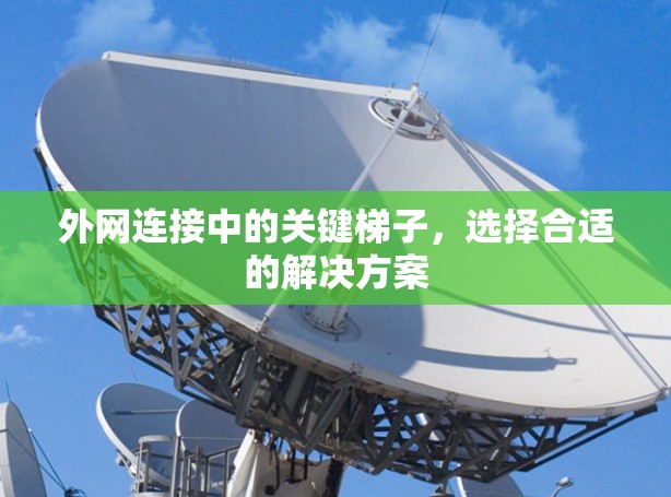 外网连接中的关键梯子，选择合适的解决方案