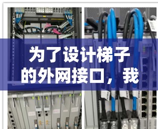 为了设计梯子的外网接口，我们需要考虑梯子的结构、端口数量、接口类型以及接口的连接方式。以下是详细的步骤和设计