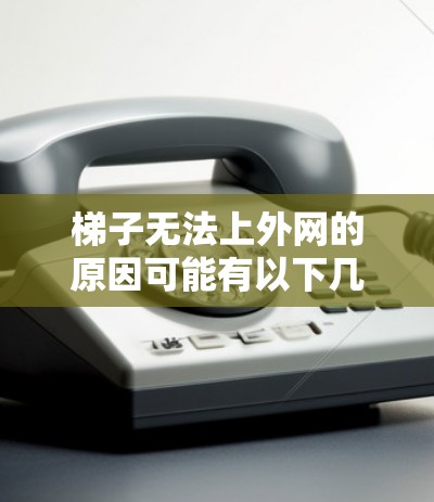 梯子无法上外网的原因可能有以下几点