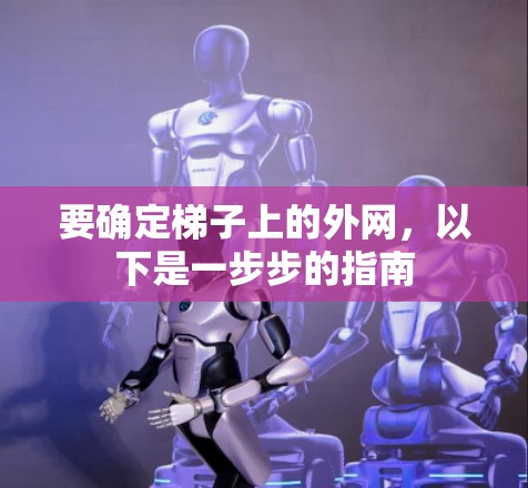 要确定梯子上的外网，以下是一步步的指南