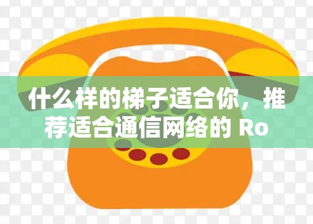 什么样的梯子适合你，推荐适合通信网络的 Router 选择