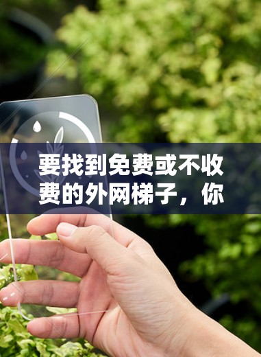 要找到免费或不收费的外网梯子，你可以参考以下几种方法