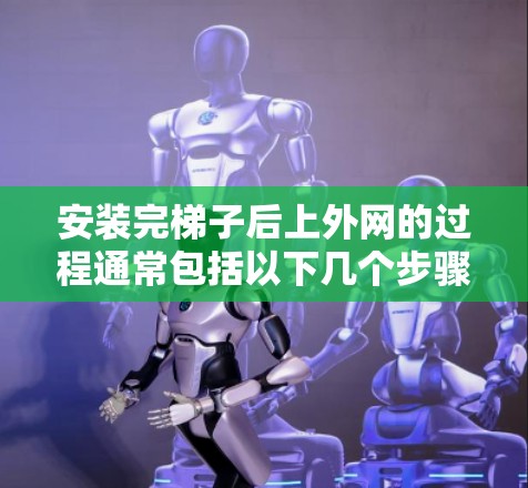 安装完梯子后上外网的过程通常包括以下几个步骤