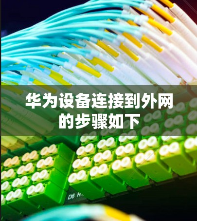 华为设备连接到外网的步骤如下