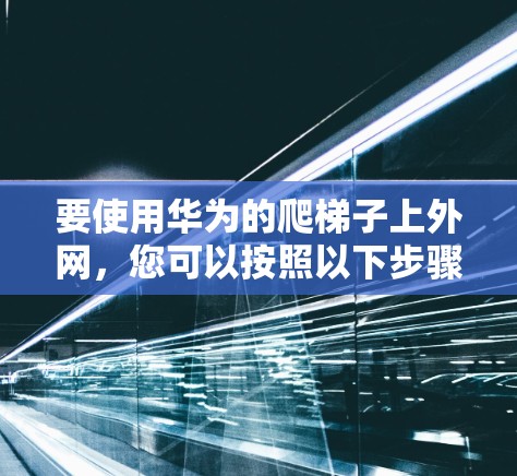要使用华为的爬梯子上外网，您可以按照以下步骤进行
