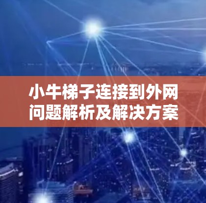 小牛梯子连接到外网问题解析及解决方案