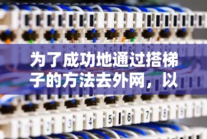 为了成功地通过搭梯子的方法去外网，以下是一步步的指南