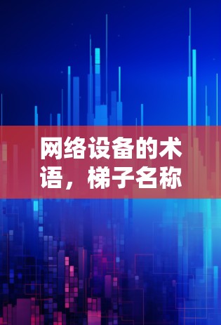 网络设备的术语，梯子名称