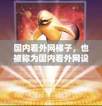 国内看外网梯子，也被称为国内看外网设备，通常指用于连接国内用户到国外网络的设备和工具。以下是一些常见的国内看外网梯子及其作用