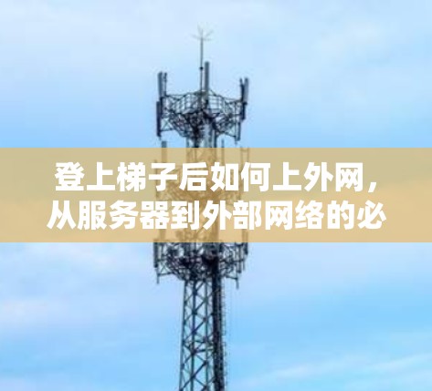 登上梯子后如何上外网，从服务器到外部网络的必经之路