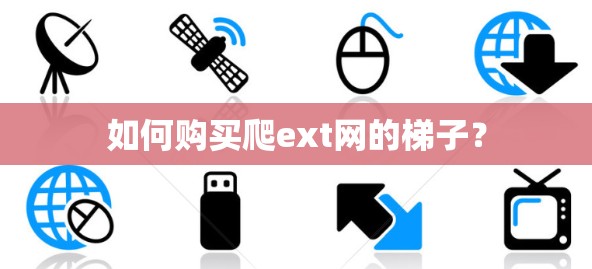如何购买爬ext网的梯子？