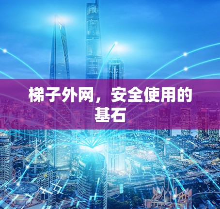 梯子外网，安全使用的基石