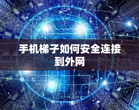 手机梯子如何安全连接到外网