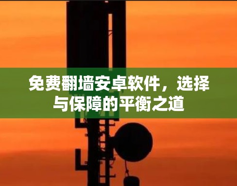 免费翻墙安卓软件，选择与保障的平衡之道