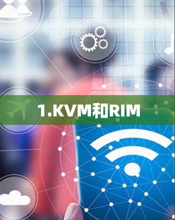 1.KVM和RIM
