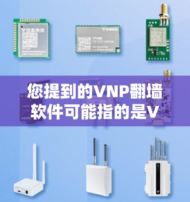 您提到的VNP翻墙软件可能指的是VLAN内网视图网络（VLAN内网视图网络，VSN）或VSNW（VLAN内网视图网络翻墙软件）以下是对这两种可能的解释