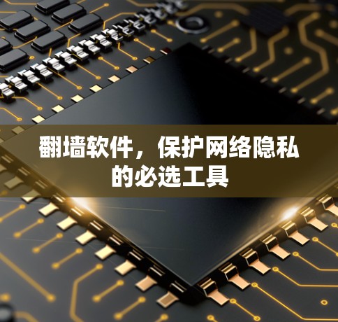 翻墙软件，保护网络隐私的必选工具