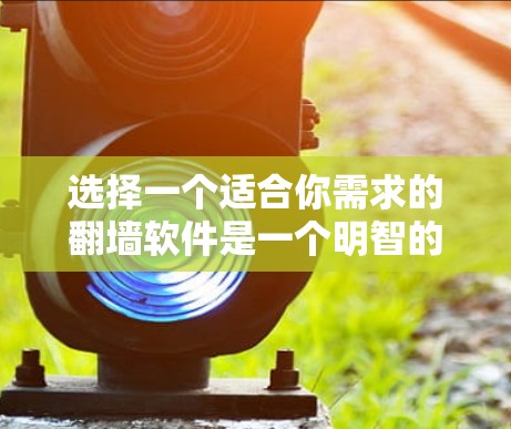 选择一个适合你需求的翻墙软件是一个明智的决定。以下是一些步骤和考虑因素，帮助你找到一个适合的解决方案